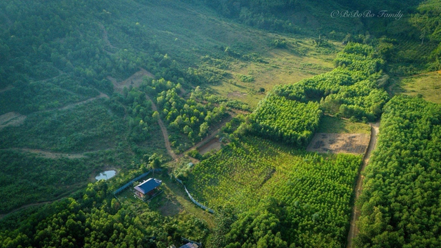 Vợ chồng "chốt" mua 1500m2 đất rừng qua ảnh vệ tinh, thành quả hiện tại khiến bao người ngưỡng mộ- Ảnh 5.