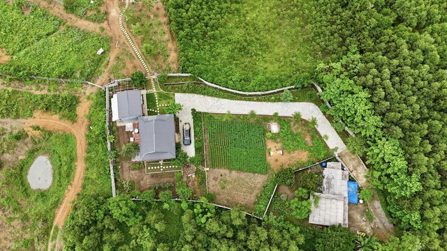Vợ chồng "chốt" mua 1500m2 đất rừng qua ảnh vệ tinh, thành quả hiện tại khiến bao người ngưỡng mộ- Ảnh 4.