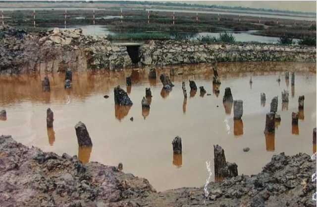 Bãi cọc Bạch Đằng phát lộ sau gần nghìn năm vùi dưới bùn: UNESCO tới khảo sát thực địa- Ảnh 7.