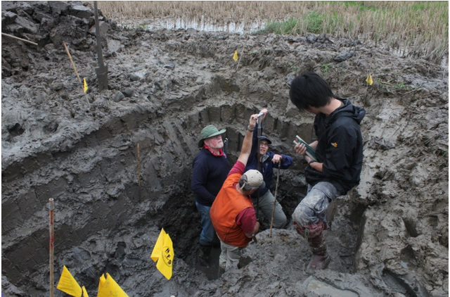 Bãi cọc Bạch Đằng phát lộ sau gần nghìn năm vùi dưới bùn: UNESCO tới khảo sát thực địa- Ảnh 6.