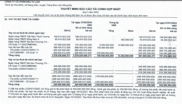 Báo cáo tài chính quý 1/2024 LDG.