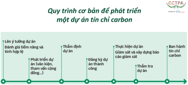 Từ chỉ đạo quyết liệt của Thủ tướng: Một ngành của Việt Nam lãi ròng thêm 100 triệu USD mỗi năm?- Ảnh 6.