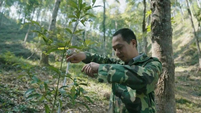 Ba đời làm tiều phu, chàng trai bất ngờ có hành động trái ngược với cả làng: Ẵm 170 triệu “nhẹ tênh”- Ảnh 6.