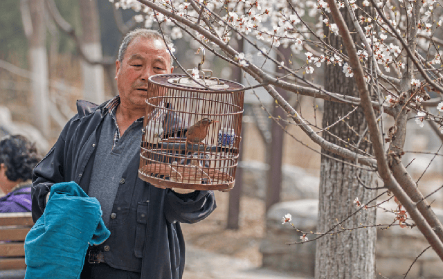 Cụ ông U80 tâm sự: "Bảo hiểm an toàn nhất của tôi không phải con cái mà là lương hưu"- Ảnh 2.