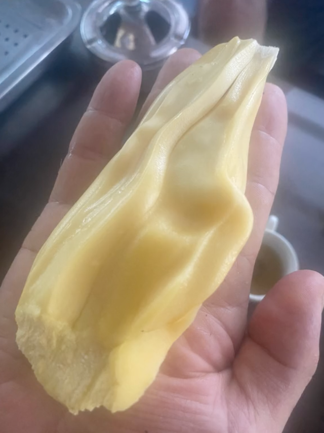 Chủ nhà bổ quả mít 54,5kg ở Hải Dương, múi mít bên trong gây ngỡ ngàng- Ảnh 1. Chủ nhà bổ quả mít 54,5kg ở Hải Dương, múi mít bên trong gây ngỡ ngàng- Ảnh 1.