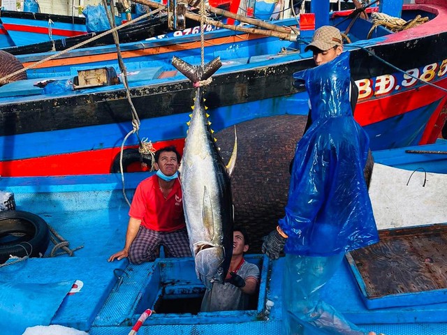 Với địa hình đa dạng, tỉnh này sẽ trở thành trung tâm kinh tế biển, trung tâm du lịch lớn của cả nước- Ảnh 3.