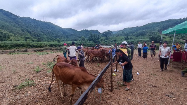 Một tập đoàn lớn của Việt Nam vừa chi hàng chục tỷ đồng xây cả bản làng mới tặng người dân vùng sạt lở- Ảnh 2.