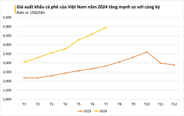 Loại hạt Việt Nam xuất 77.000 tấn trong tháng 7, châu Âu, Trung Quốc ưa thích: Bổ gan, phòng đột quỵ - Ảnh 1.