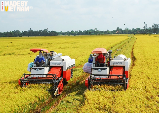 Dự án đầu tiên trên thế giới ở Việt Nam và kỳ vọng của GS Võ Tòng Xuân về tương lai rực rỡ cho ngành lúa gạo - Ảnh 3.