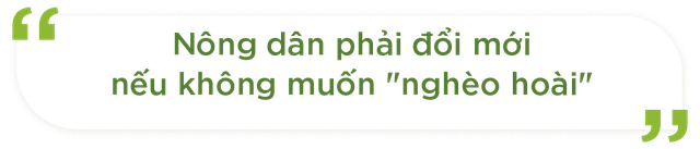 Dự án đầu tiên trên thế giới ở Việt Nam và kỳ vọng của GS Võ Tòng Xuân về tương lai rực rỡ cho ngành lúa gạo - Ảnh 8.