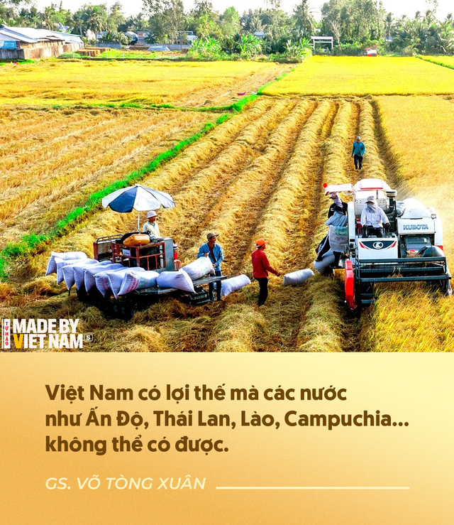 Dự án đầu tiên trên thế giới ở Việt Nam và kỳ vọng của GS Võ Tòng Xuân về tương lai rực rỡ cho ngành lúa gạo - Ảnh 2.