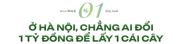 "Nếu bắt đầu ngay hôm nay, ít nhất 20 năm nữa, Việt Nam mới có thành phố xanh đúng nghĩa" - Ảnh 1.