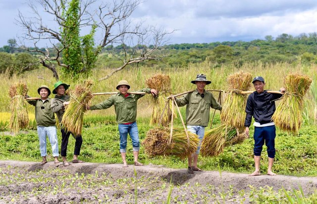 Thất trận với lúa nước mùa khô tại Angola, phải phá bỏ nửa diện tích, ông chủ trang trại Việt "phục thù" - Ảnh 1.