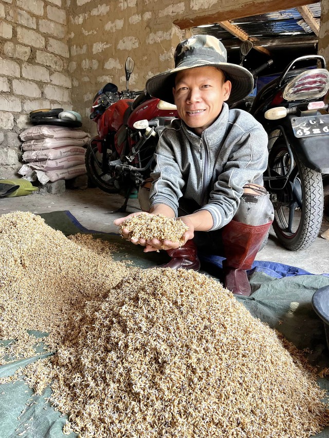 Thất trận với lúa nước mùa khô tại Angola, phải phá bỏ nửa diện tích, ông chủ trang trại Việt "phục thù" - Ảnh 6.