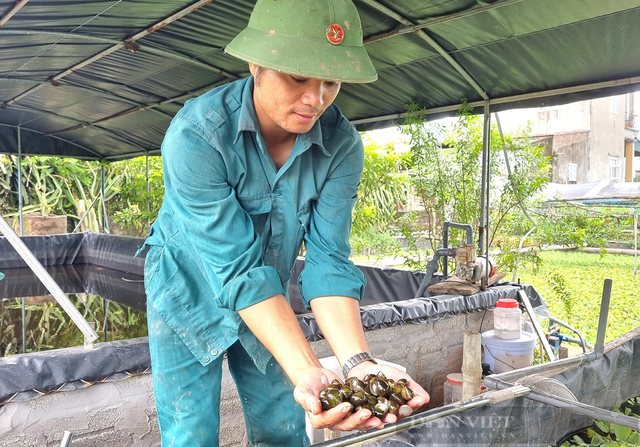 Anh nông dân bỏ việc lương gần 20 triệu đồng về nuôi con "hiền như cục đất" kiếm 400 triệu đồng rất nhẹ nhàng  - Ảnh 2.