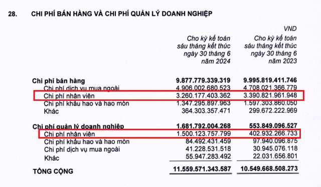 Chuyện lạ tại Thế giới Di động: 8.548 người mất việc nhưng chi phí cho nhân viên lại tăng thêm 1.000 tỷ - Ảnh 2.