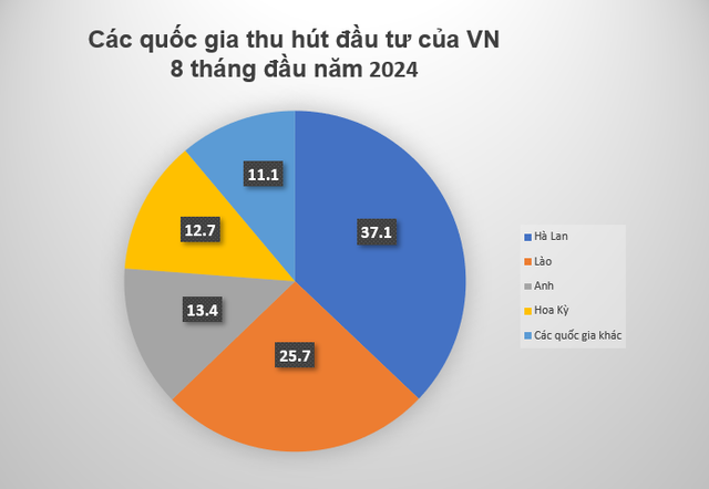 Ngành kinh tế được các doanh nghiệp Việt đầu tư nhiều nhất tại nước ngoài - Ảnh 1.