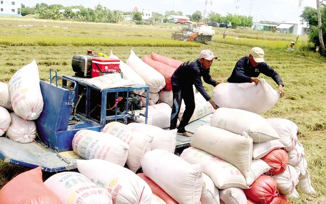 Việt Nam là một trong những quốc gia xuất khẩu gạo lớn nhất thế giới hiện nay. Ảnh: HA