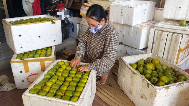 Loại quả "trong đỏ vỏ xanh" được giới sành ăn săn lùng, mỗi năm có duy nhất 1 mùa, nghe giá mới bất ngờ- Ảnh 9.