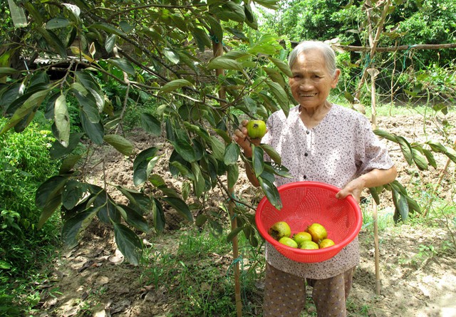 Loại quả "trong đỏ vỏ xanh" được giới sành ăn săn lùng, mỗi năm có duy nhất 1 mùa, nghe giá mới bất ngờ - Ảnh 8.