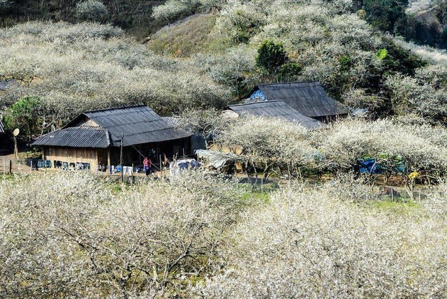 Địa phương Việt Nam từng được vinh danh "hàng đầu thế giới", được ví như viên ngọc xanh, mùa nào cũng đẹp - Ảnh 11.