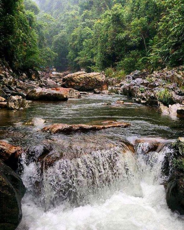 Nơi được ví như "Đà Lạt thu nhỏ", cách thành phố chưa đến 100km, nhiều người bất ngờ vì chưa hề nghe tên - Ảnh 13.