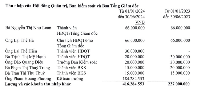 Quốc Cường Gia Lai lỗ kỷ lục, khoản thu nhập trước khi bị bắt của bà Nguyễn Thị Như Loan gây bất ngờ - Ảnh 1.