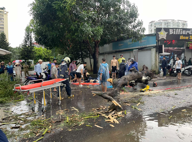 Hà Nội: Hiện trường vụ cây phượng bật gốc đè 2 người đi đường, 1 phụ nữ tử vong - Ảnh 3.