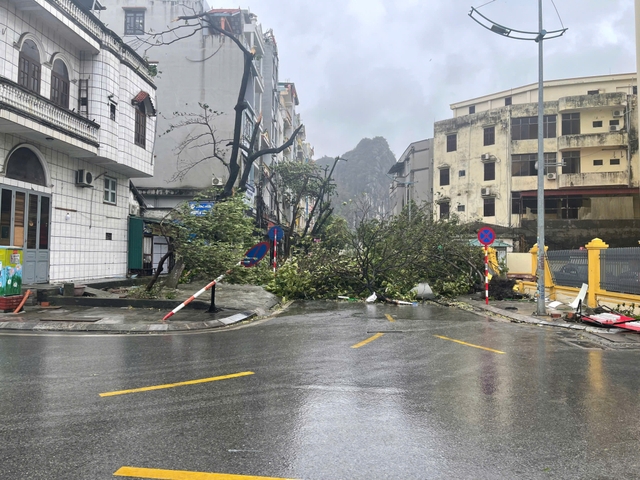 Cơn bão kinh hoàng đổ bộ vào đất liền nước ta: Đã có 4 người chết, 78 người bị thương - Ảnh 4.