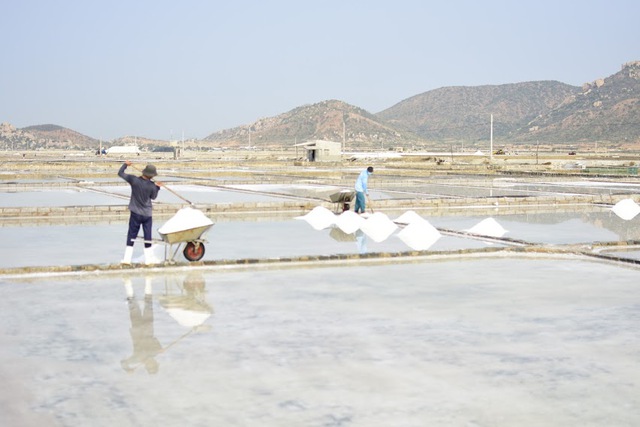 Đường ven biển nối 2 tỉnh miền Trung, được mệnh danh "một trong những cung đường đẹp nhất Việt Nam" - Ảnh 7.