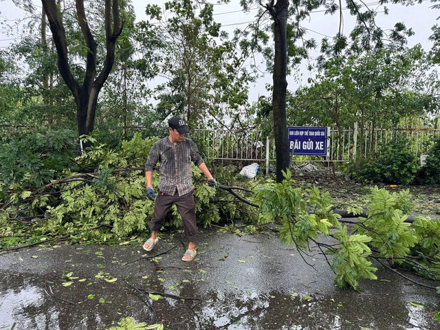 Sân Mỹ Đình bị bão Yagi càn quét, cây đổ la liệt, trận Việt Nam - Thái Lan có bị hủy hay không? - Ảnh 4.