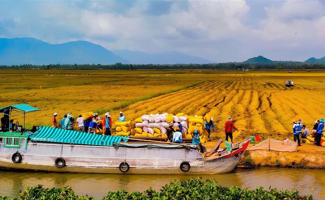 Việt Nam vừa đạt 2 kỷ lục lớn trong ngành xuất khẩu tỷ đô: Đứng top 3 thế giới - Ảnh 2.