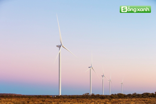 Quốc gia châu Á đứng số 1 thế giới trong khai thác "vàng xanh": Hứa hẹn bùng nổ thị trường 250 tỷ USD - Ảnh 4.