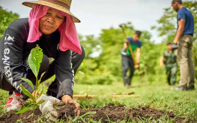 Ngành gỗ Việt Nam vừa lập kỷ lục mới: "Khuấy đảo" thị trường 160 nước, thu về hơn 412.000 tỷ - Ảnh 4.