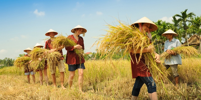 Vượt qua Indonesia và Thái Lan, đại diện duy nhất của Việt Nam lọt top 20 ngôi làng đẹp nhất thế giới- Ảnh 6. Vượt qua Indonesia và Thái Lan, đại diện duy nhất của Việt Nam lọt top 20 ngôi làng đẹp nhất thế giới- Ảnh 6.