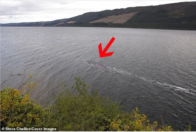 Gặp 'thủy quái' to như xe buýt bơi trên mặt hồ, thợ săn nói: Những gì tôi thấy là độc nhất vô nhị- Ảnh 2.