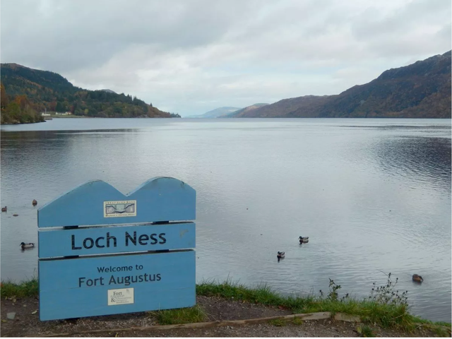 Gặp 'thủy quái' to như xe buýt bơi trên mặt hồ, thợ săn nói: Những gì tôi thấy là độc nhất vô nhị- Ảnh 5.