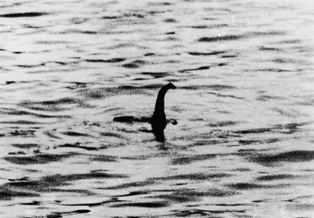 Gặp 'thủy quái' to như xe buýt bơi trên mặt hồ, thợ săn nói: Những gì tôi thấy là độc nhất vô nhị- Ảnh 4.