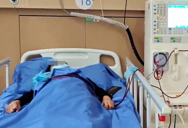 4 người trong 1 gia đình cùng bị suy thận cấp: Bác sĩ nói “thủ phạm” đến từ 1 món ăn- Ảnh 1.