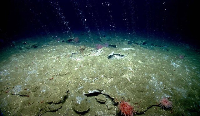 Phát hiện 40 "lỗ thở" bất thường dưới đáy biển Nam Cực, chuyên gia nói: Trái Đất có thể lâm nguy- Ảnh 1. Phát hiện 40 "lỗ thở" bất thường dưới đáy biển Nam Cực, chuyên gia nói: Trái Đất có thể lâm nguy- Ảnh 1.