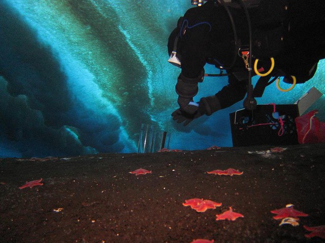 Phát hiện 40 "lỗ thở" bất thường dưới đáy biển Nam Cực, chuyên gia nói: Trái Đất có thể lâm nguy- Ảnh 2. Phát hiện 40 "lỗ thở" bất thường dưới đáy biển Nam Cực, chuyên gia nói: Trái Đất có thể lâm nguy- Ảnh 2.