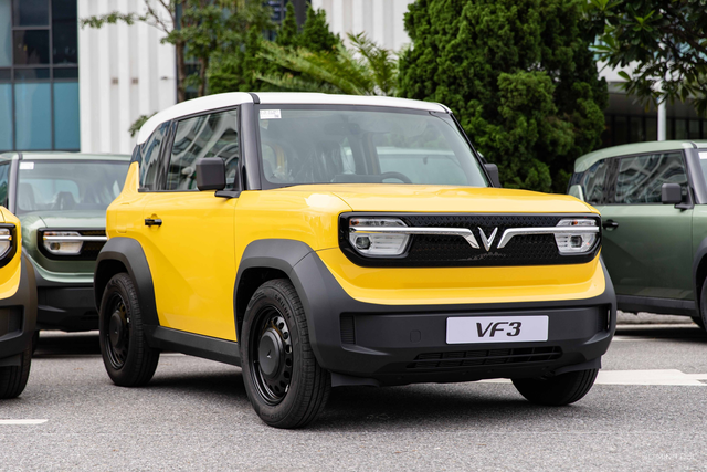 VinFast vừa làm một điều "vô tiền khoáng hậu" ở Việt Nam- Ảnh 1.