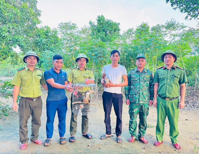 Chim lạ bay vào nhà, người dân Quảng Trị lập tức báo chính quyền - hóa ra là “báu vật” của rừng xanh- Ảnh 1. Chim lạ bay vào nhà, người dân Quảng Trị lập tức báo chính quyền - hóa ra là “báu vật” của rừng xanh- Ảnh 1.