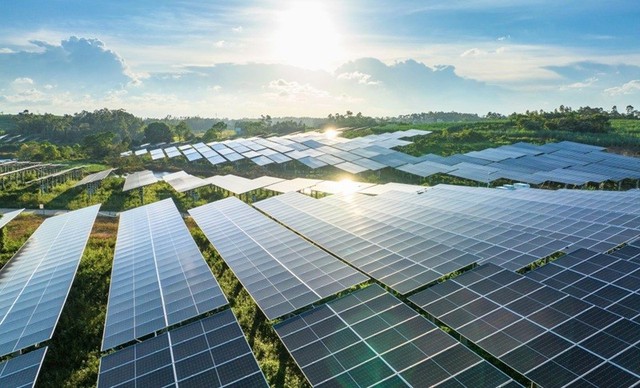 Thảm họa khí hậu bắt đầu: Rạn san hô và rừng Amazon trước bờ vực sụp đổ- Ảnh 9.