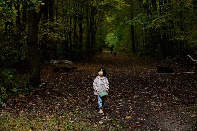 Săn nấm hoang dã ở Đức bất ngờ trở thành xu hướng sống xanh- Ảnh 11.