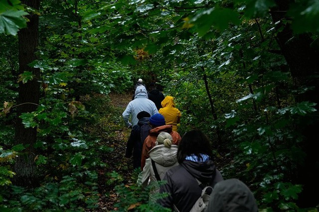 Săn nấm hoang dã ở Đức bất ngờ trở thành xu hướng sống xanh- Ảnh 12.