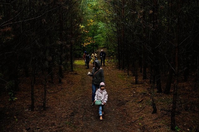 Săn nấm hoang dã ở Đức bất ngờ trở thành xu hướng sống xanh- Ảnh 7.