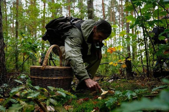 Săn nấm hoang dã ở Đức bất ngờ trở thành xu hướng sống xanh- Ảnh 8.