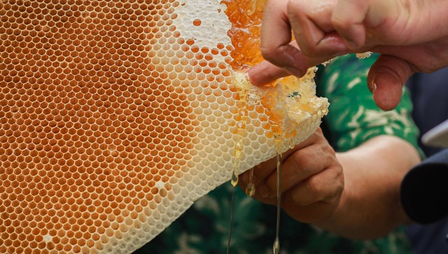 Đặc sản đắt nhất thế giới 40 triệu/kg, Việt Nam có loại thiên nhiên nguyên bản, thơm ngọt chẳng kém cạnh- Ảnh 4.