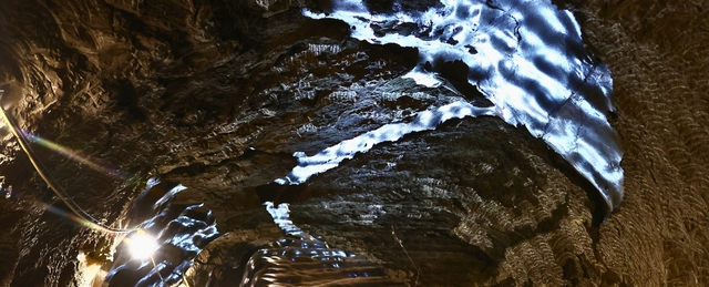 Đem sinh vật cổ đại trong hầm qu&acirc;n sự s&acirc;u 100m dưới đất về, chuy&ecirc;n gia hoang mang: 'Ch&uacute;ng đang sống lại'- Ảnh 4.